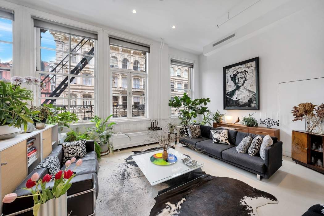 876 Broadway, Unit 3 Manhattan, NY 10003 - Photo 2 of 13 a living room with furniture and a potted plant