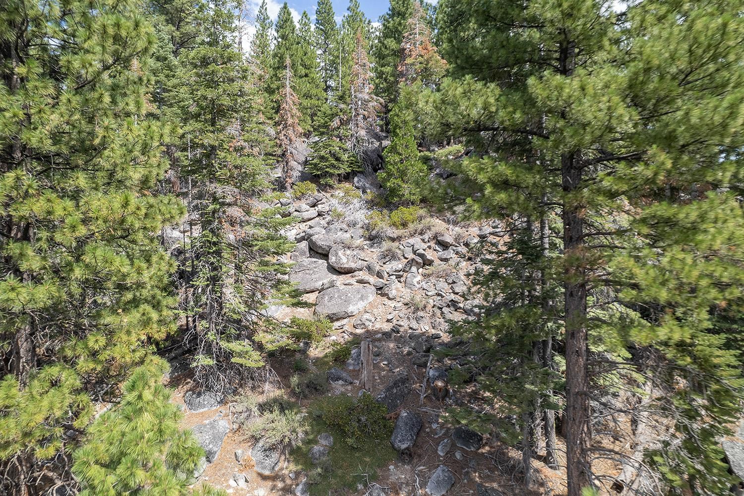 99 Catfish Lane Calpine, CA 96124 - Photo 15 of 21 a view of a yard with plants and trees