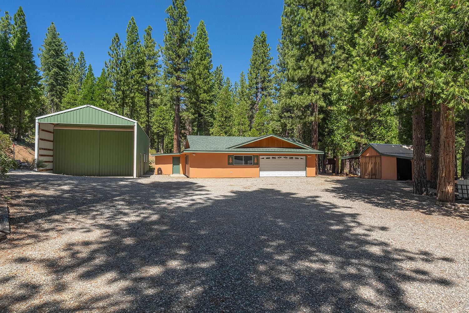 99 Catfish Lane Calpine, CA 96124 - Photo 17 of 21 a front view of a house with a yard and tree s