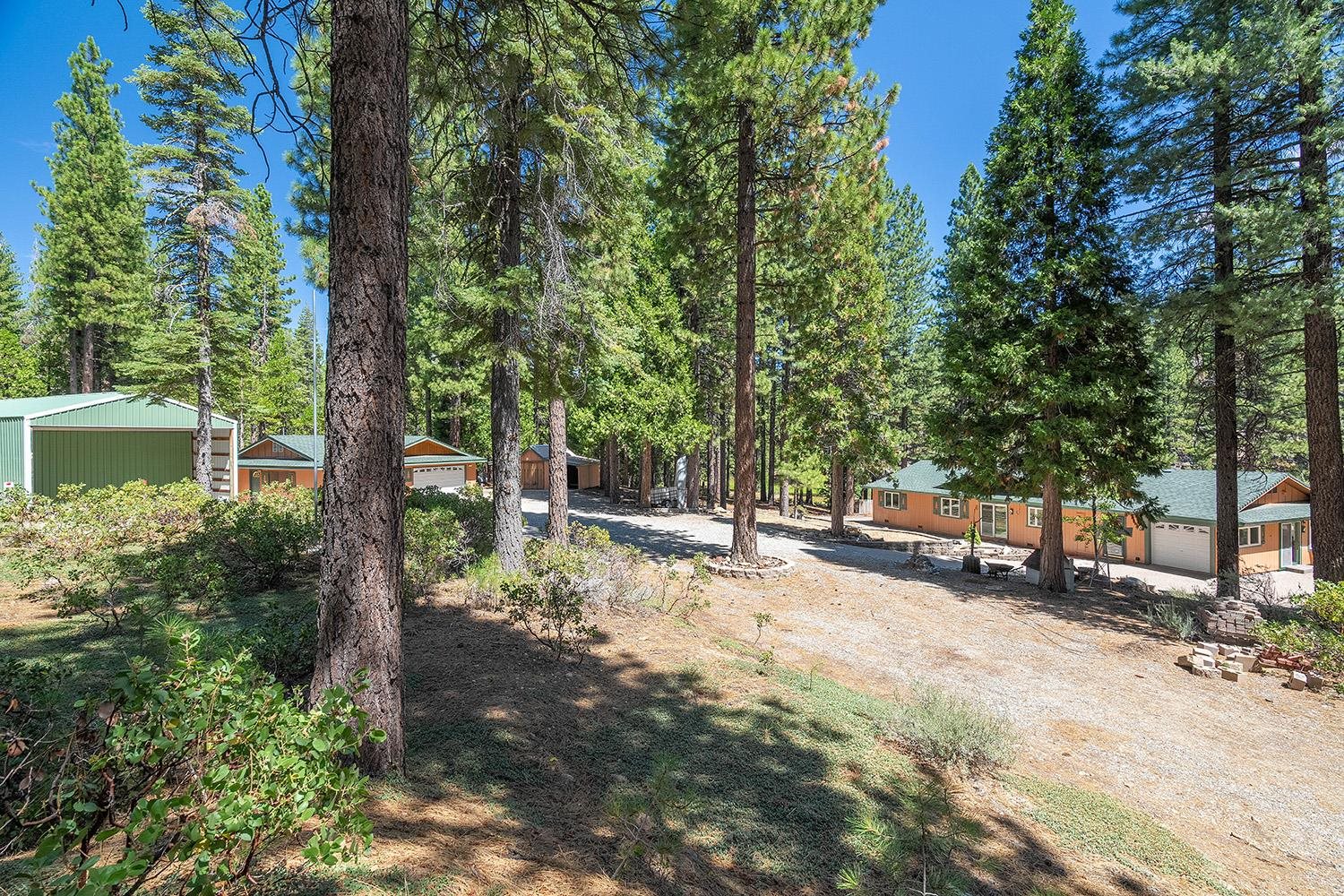 99 Catfish Lane Calpine, CA 96124 - Photo 19 of 21 a view of backyard with green space