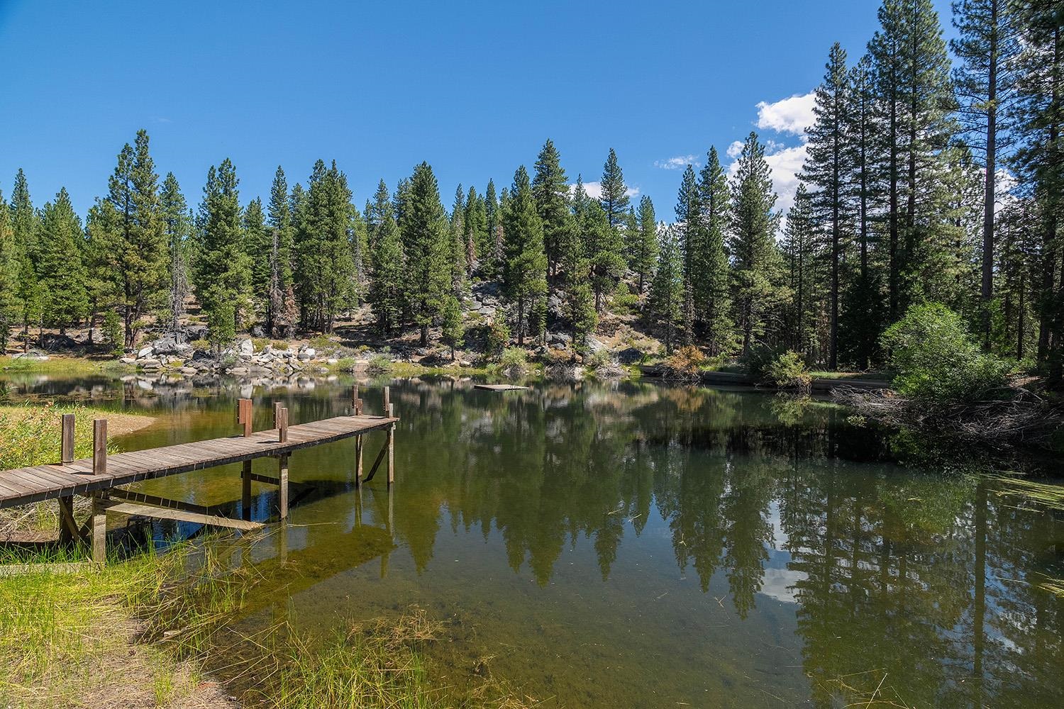 99 Catfish Lane Calpine, CA 96124 - Photo 3 of 21 a view of water with boats and trees in the background