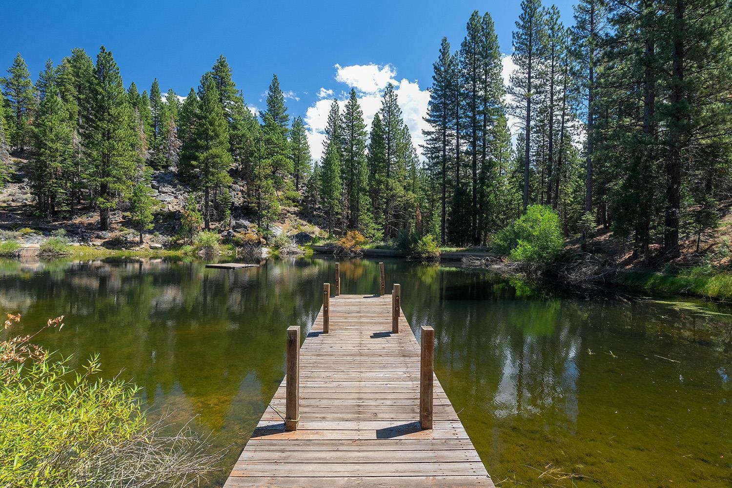 99 Catfish Lane Calpine, CA 96124 - Photo 4 of 21 a lake view with a lake view