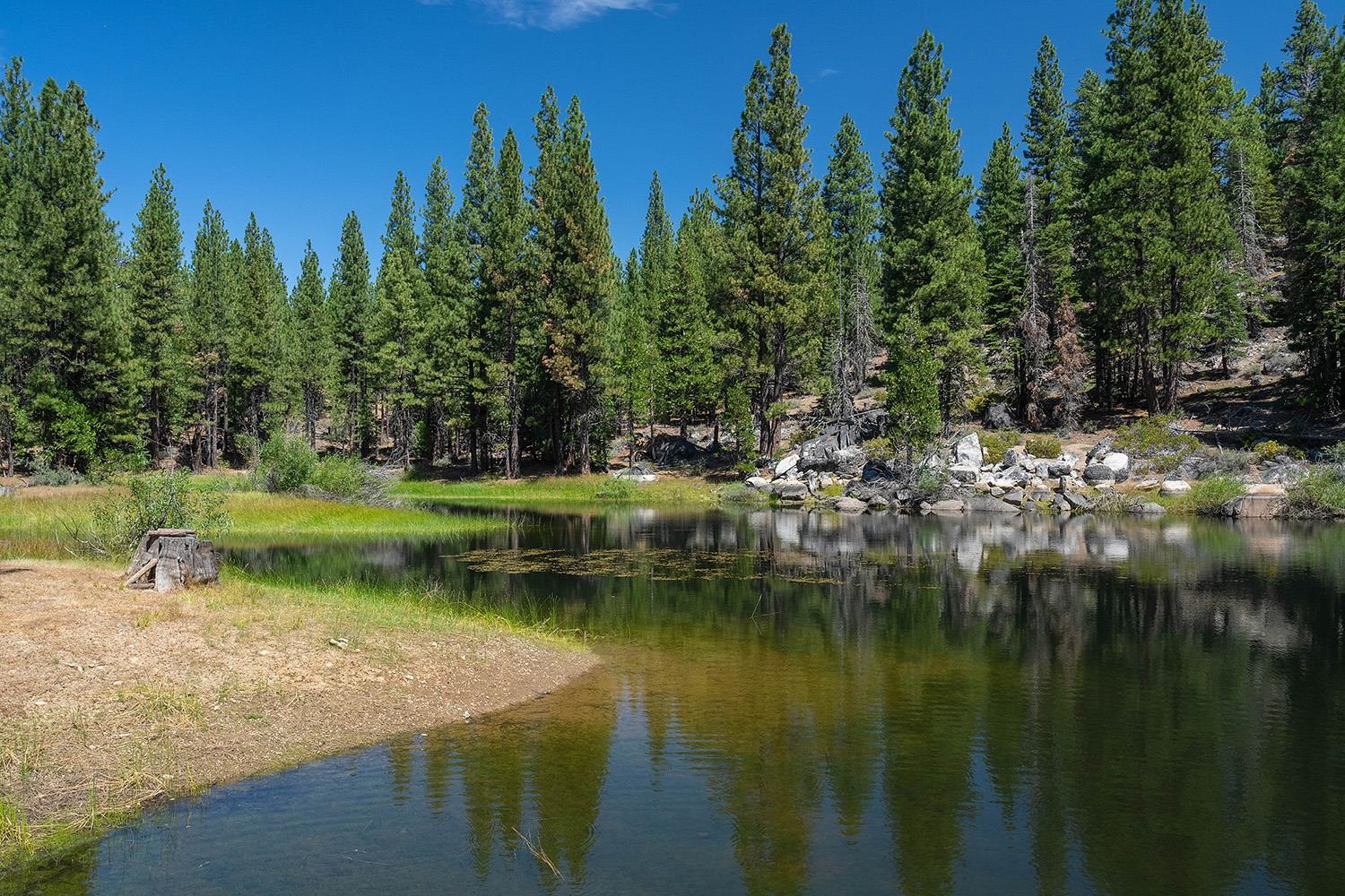 99 Catfish Lane Calpine, CA 96124 - Photo 5 of 21 a view of a lake with a yard and trees