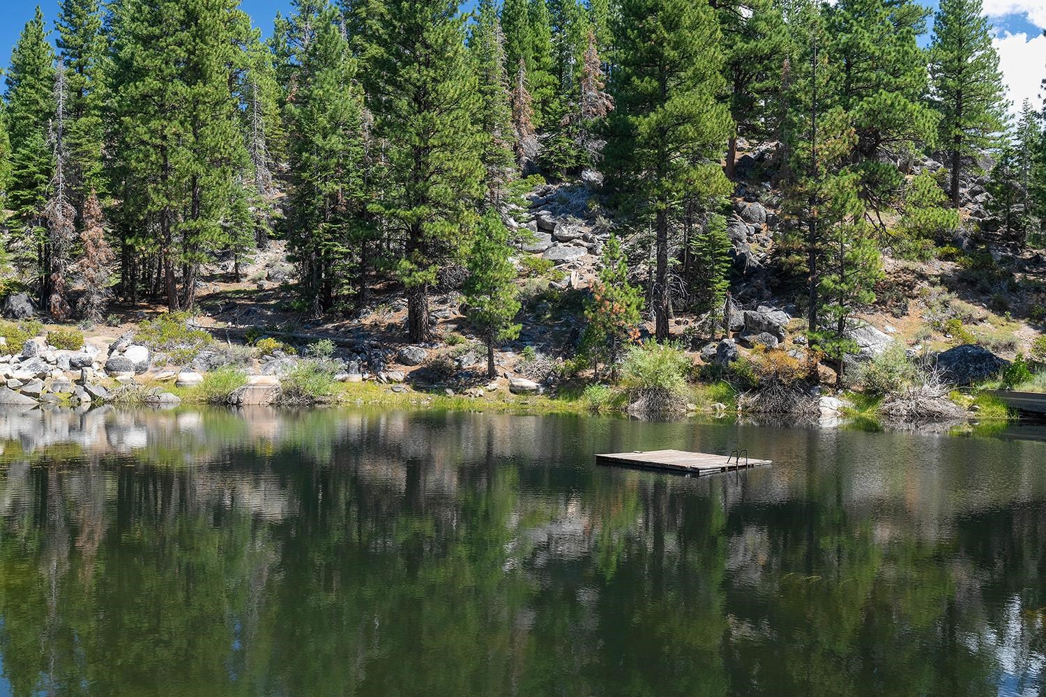 99 Catfish Lane Calpine, CA 96124 - Photo 6 of 21 a view of lake