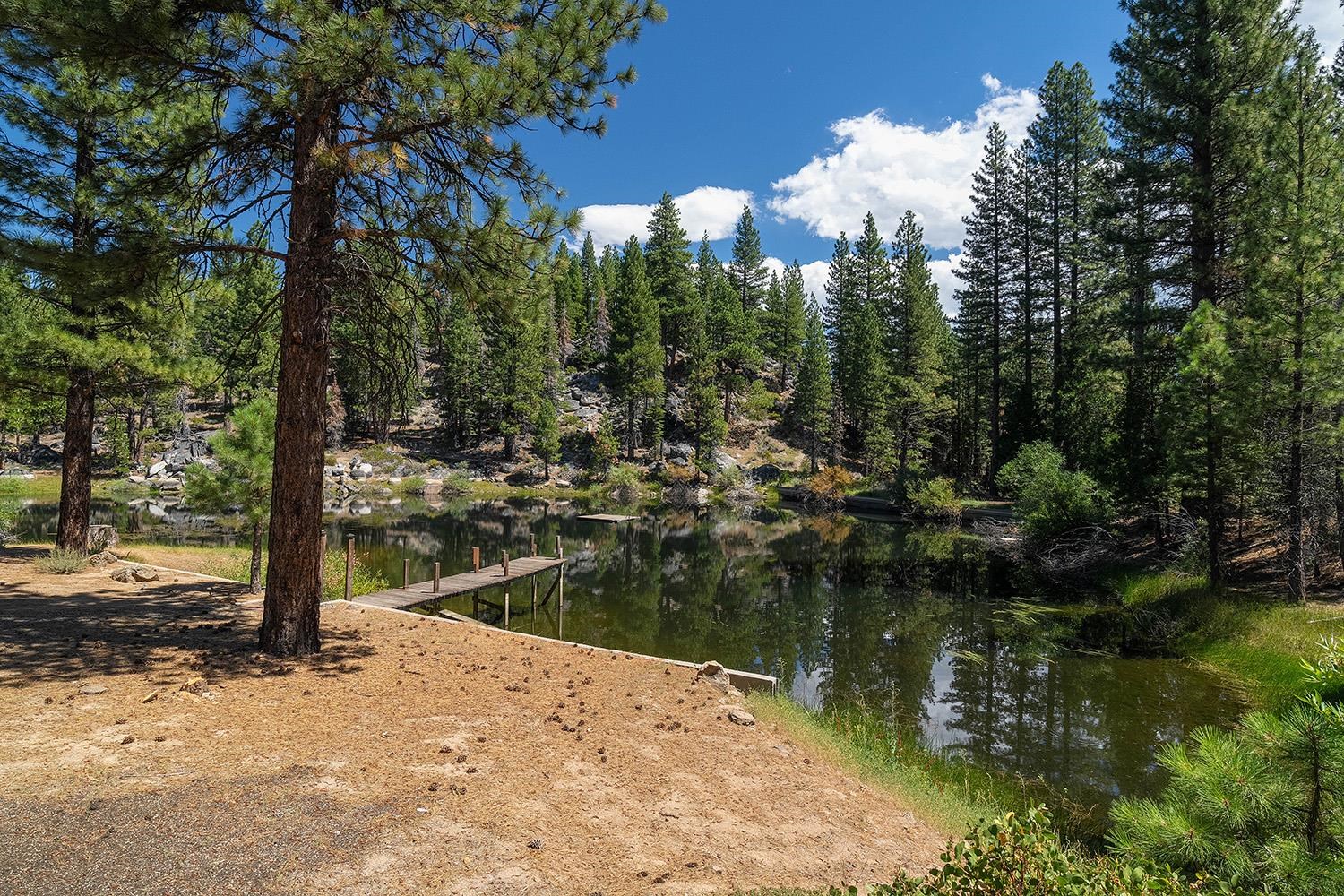 99 Catfish Lane Calpine, CA 96124 - Photo 7 of 21 a view of a lake with a house in the background