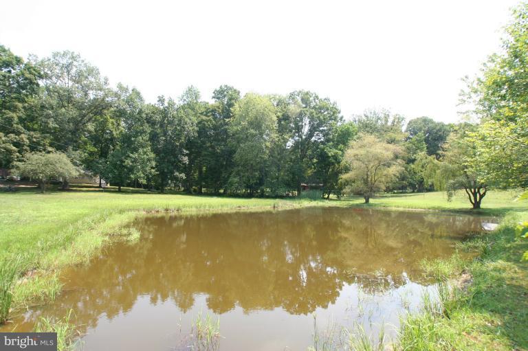 4090 Goldmine Road Goldvein, VA 22720 - Photo 18 of 18 Pond