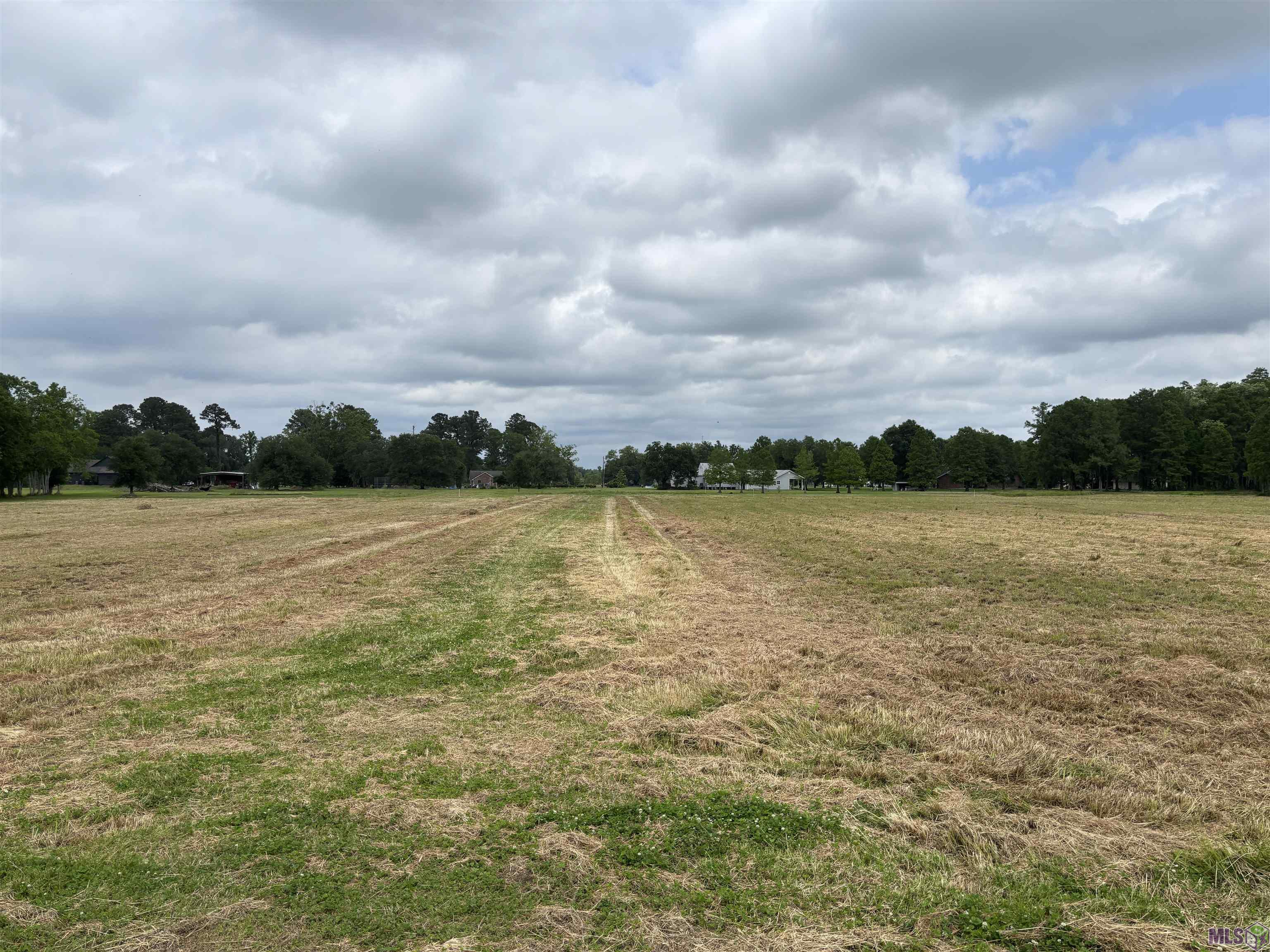 9394 Reine Road St. Amant, LA 70774 - Photo 4 of 5 Gallery Image 4