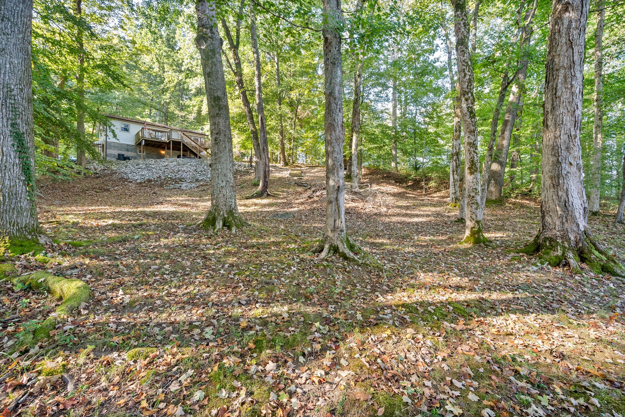 212 Cherry Bay Road Cadiz, KY 42211 - Photo 25 of 37