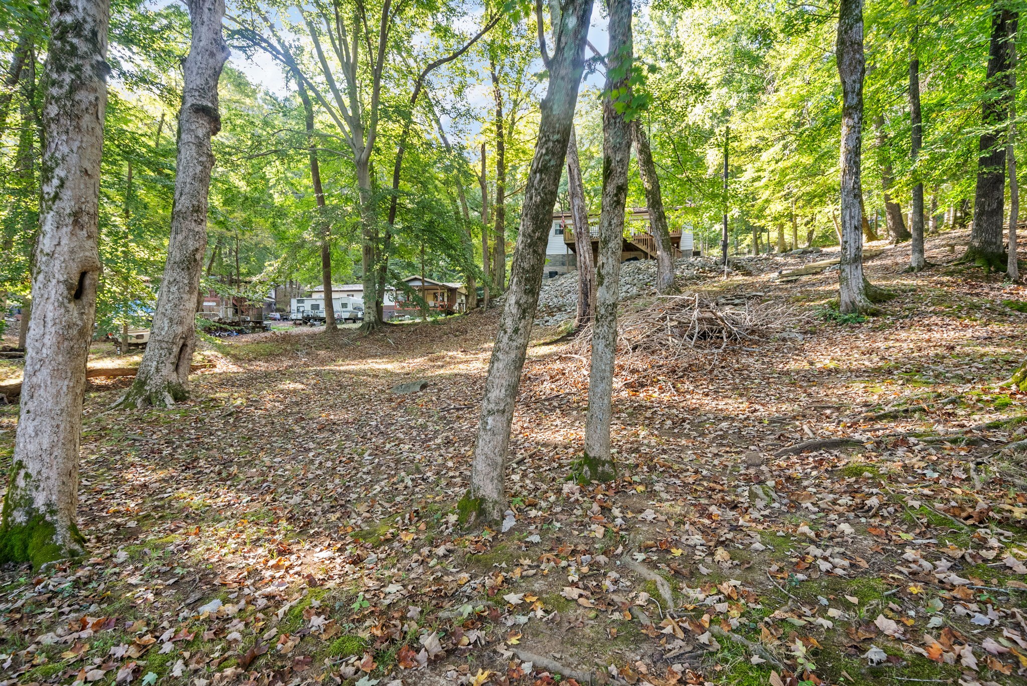 212 Cherry Bay Road Cadiz, KY 42211 - Photo 26 of 37