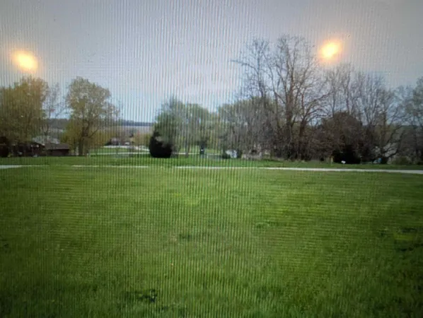 a grassy field with trees in the background
