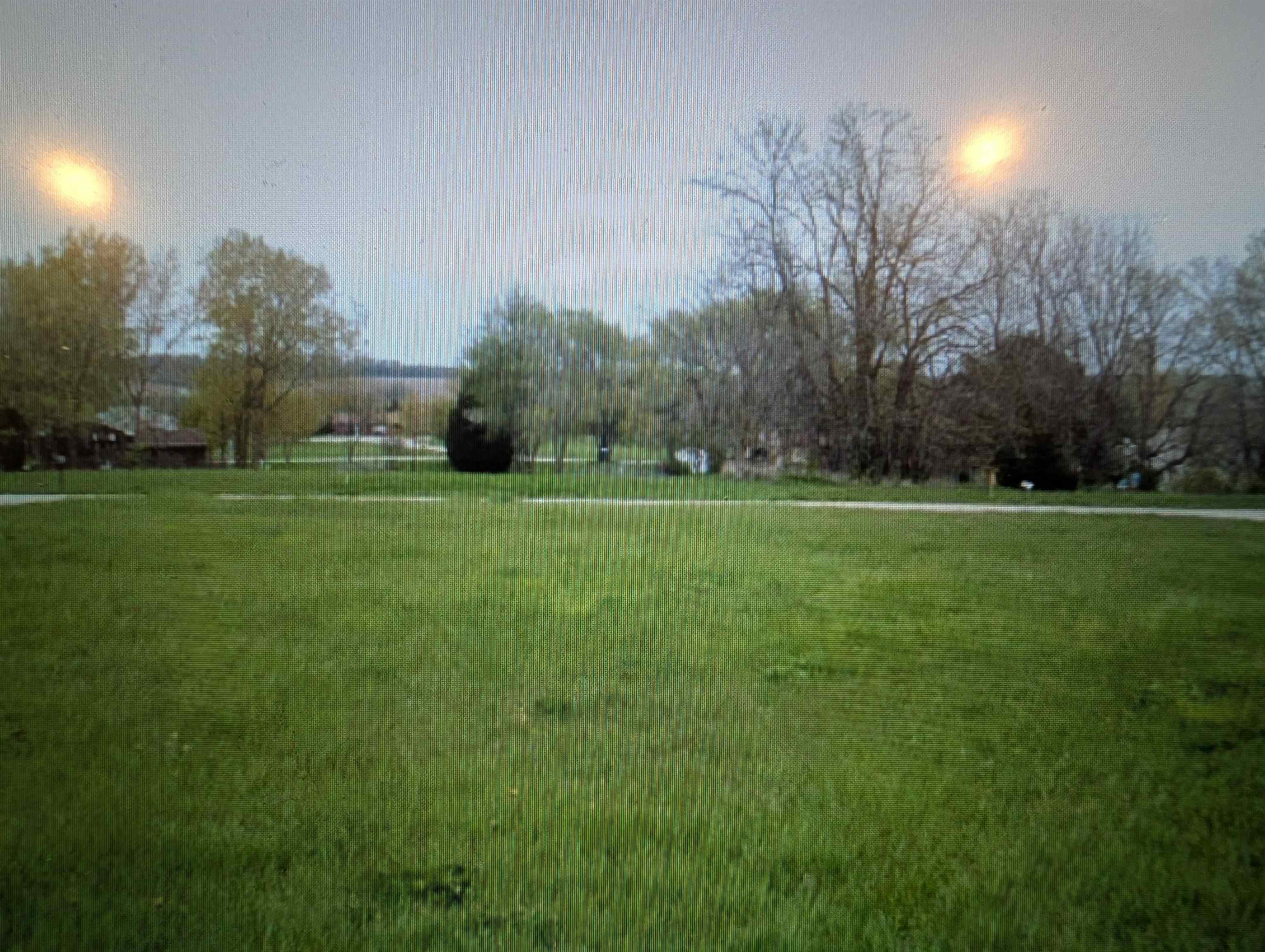 a grassy field with trees in the background