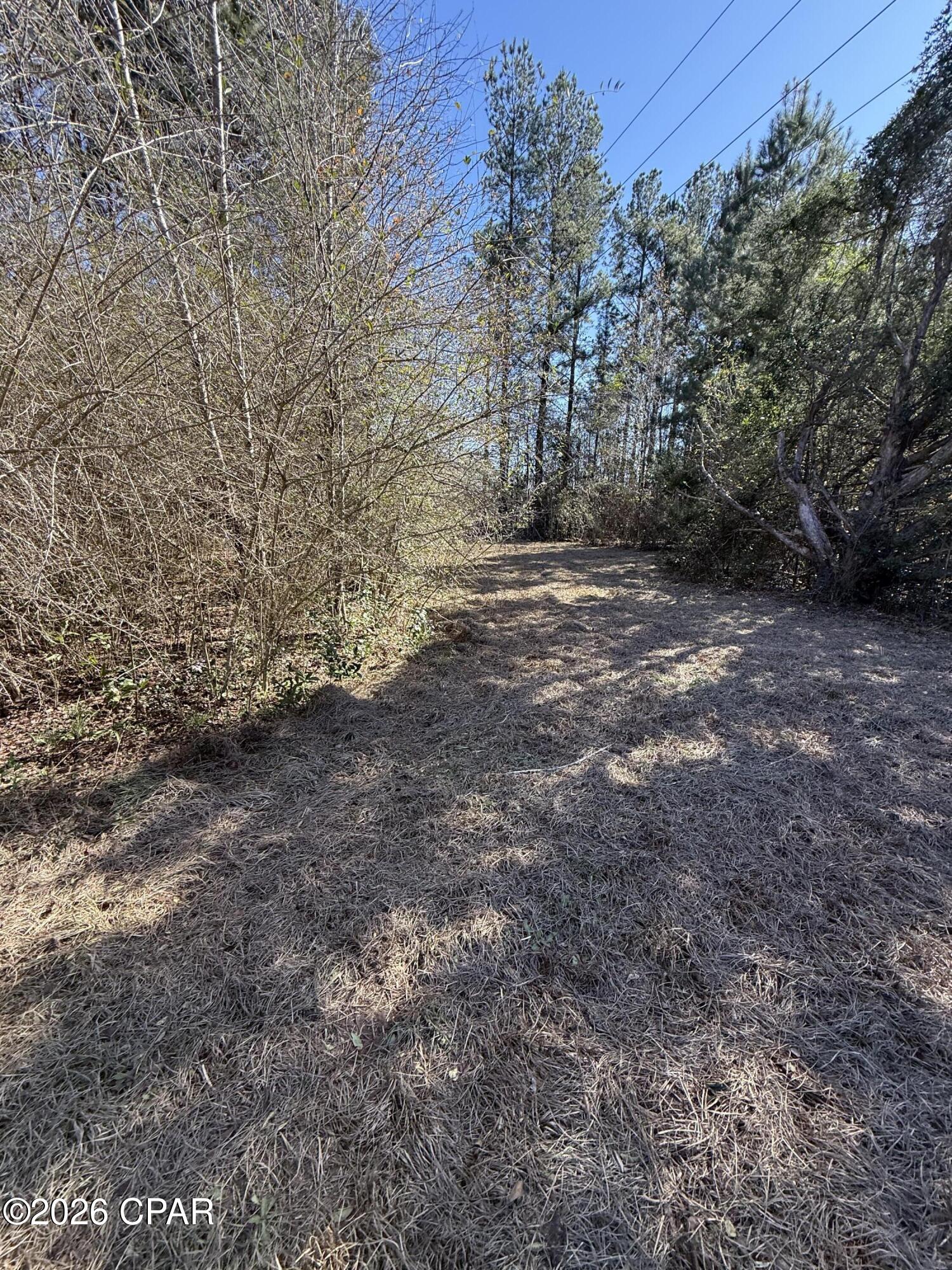 5023 Elmore Road Graceville, FL 32440 - Photo 24 of 25 Gallery Image 24