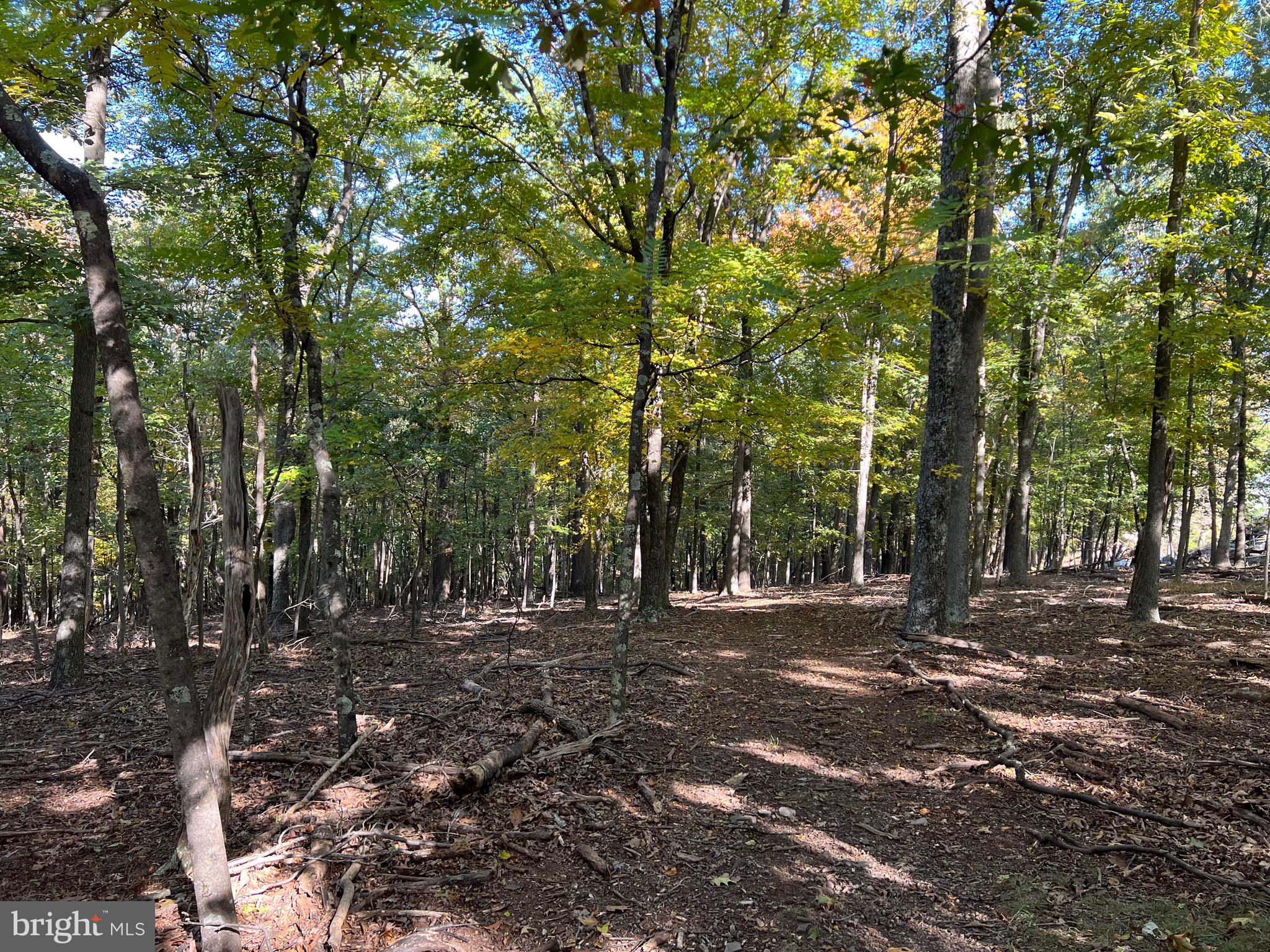 Hamilton Berkeley Springs, WV 25411 - Photo 21 of 37 Setting
