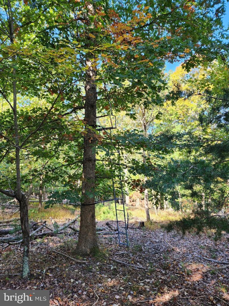 Hamilton Berkeley Springs, WV 25411 - Photo 35 of 37 Setting
