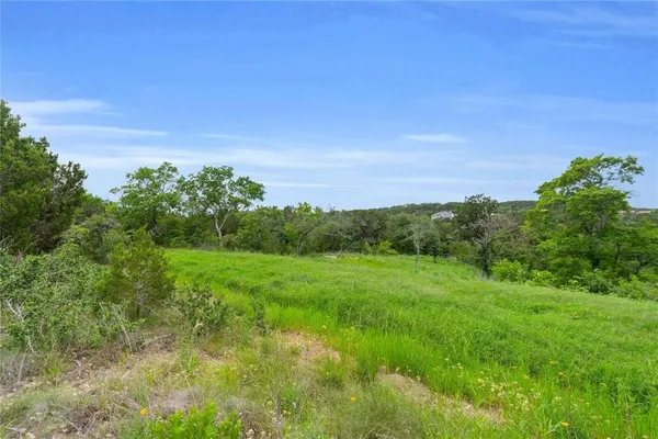 a view of backyard with green space