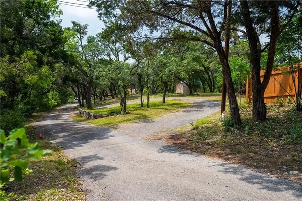a view of yard with tree and trees