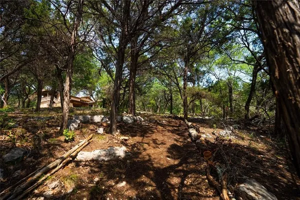 a view of some trees in a yard