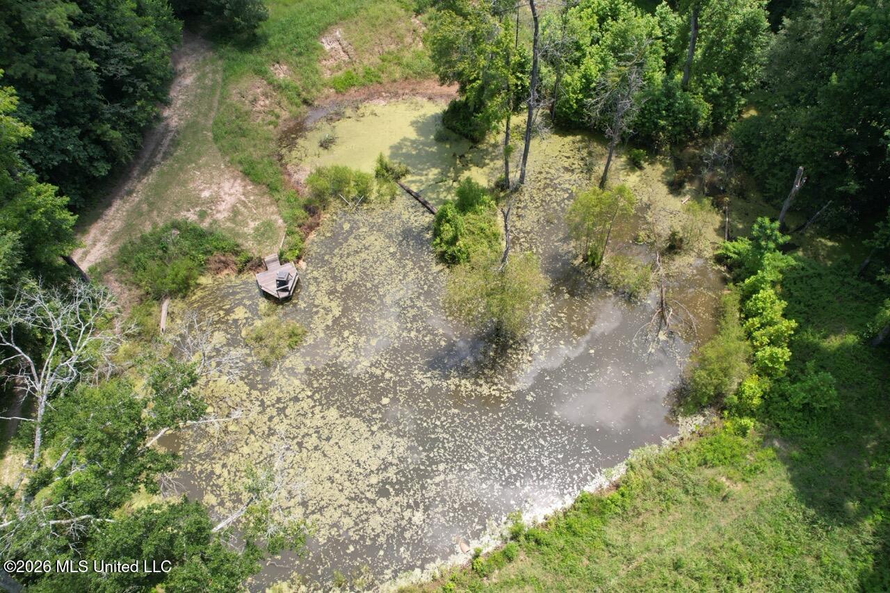 Annas Bottom Road Natchez, MS 39120 - Photo 19 of 48 DJI_0450 Large