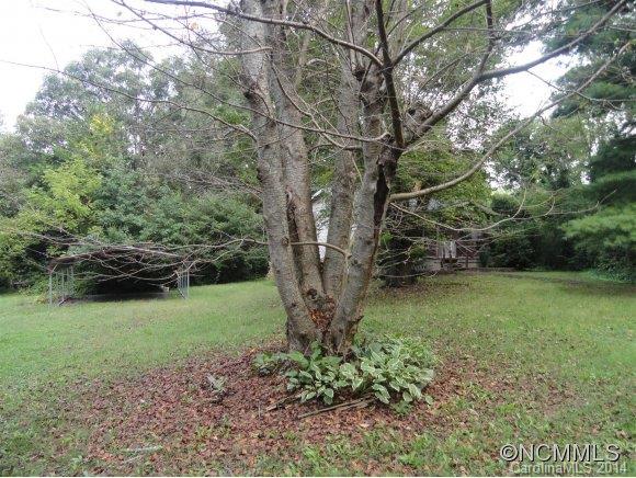 586 Long Shoals Road Arden, NC 28704 - Photo 3 of 24 Gallery Image 3