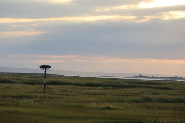 a view of a lake with a big yard