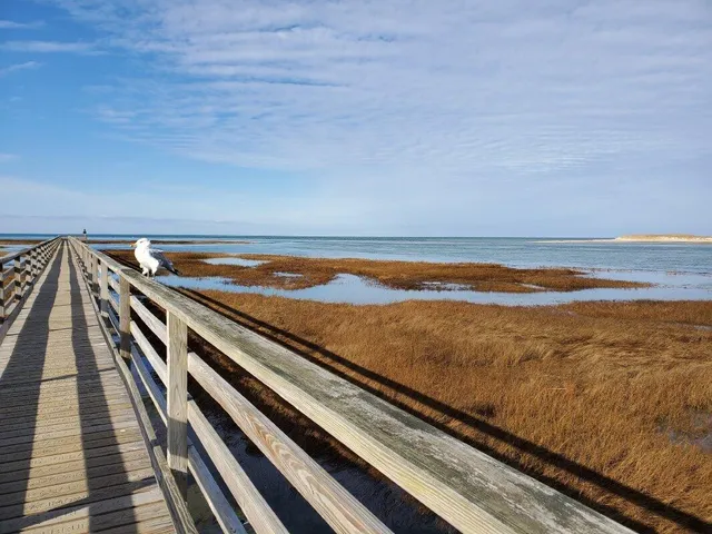 a close up of a room with an umbrella
