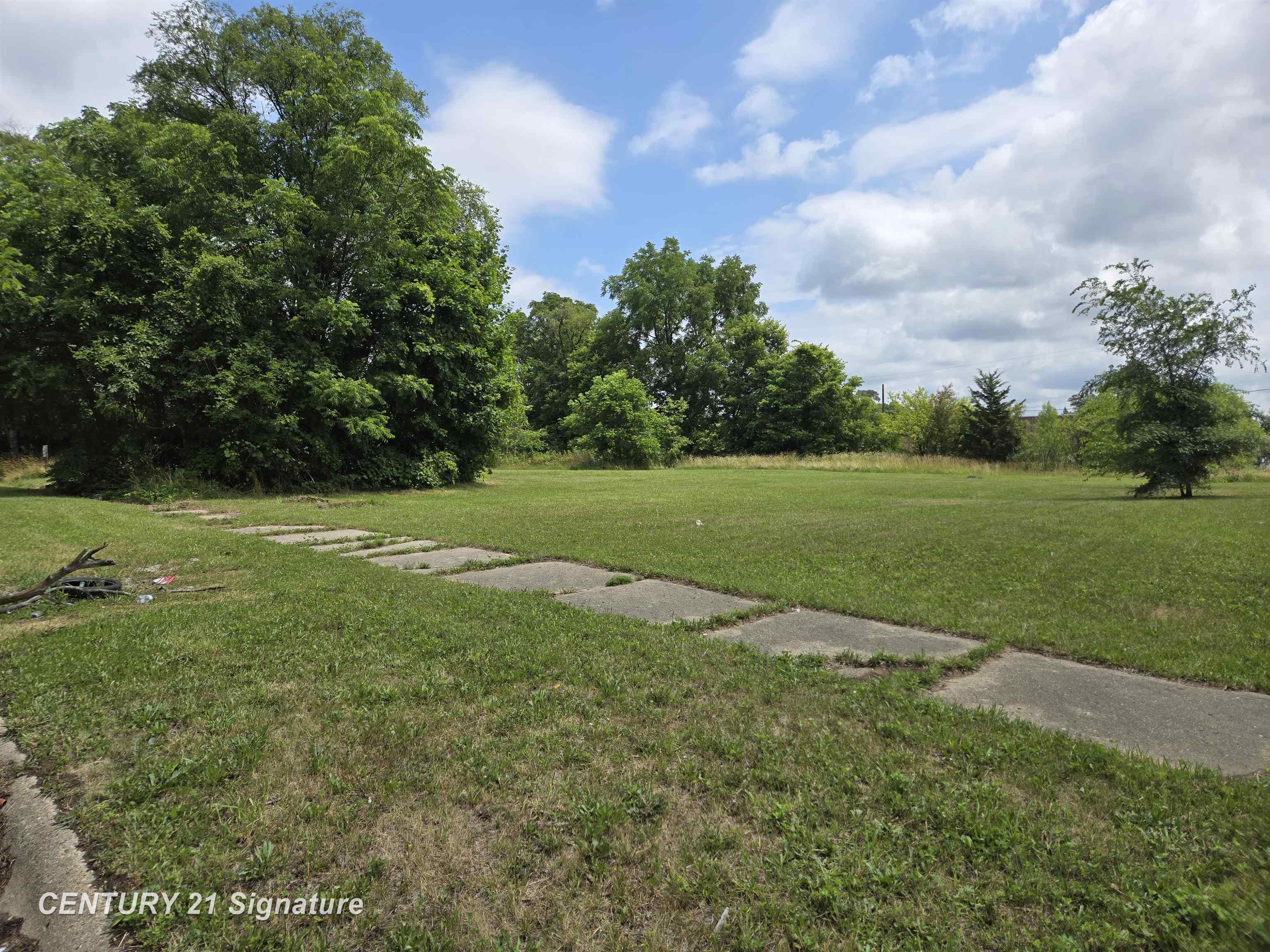Donaldson Street Flint, MI 48504 - Photo 1 of 5