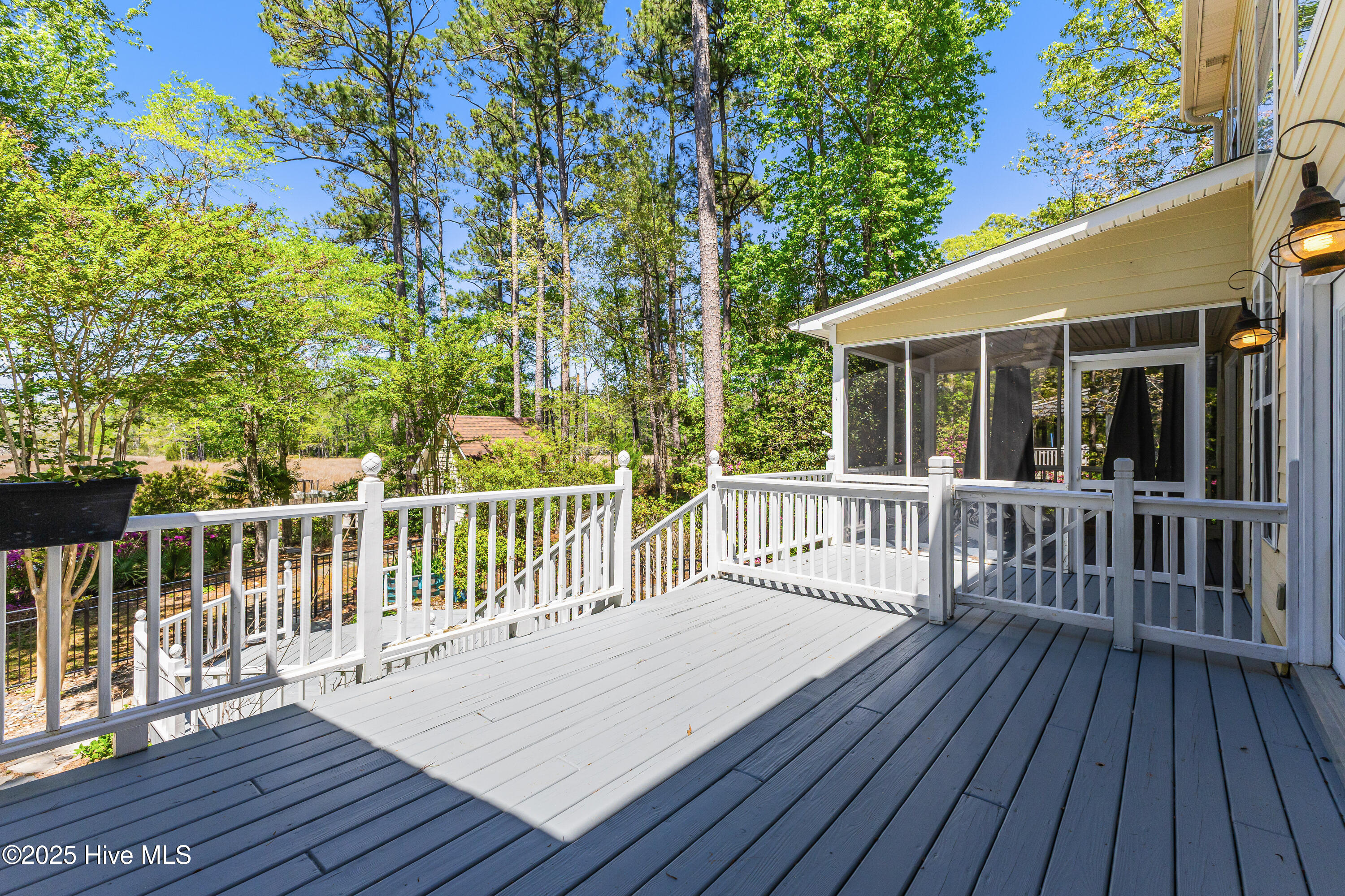 117 Canvasback Point Hampstead, NC 28443 - Photo 41 of 65 117 Canvasback-43
