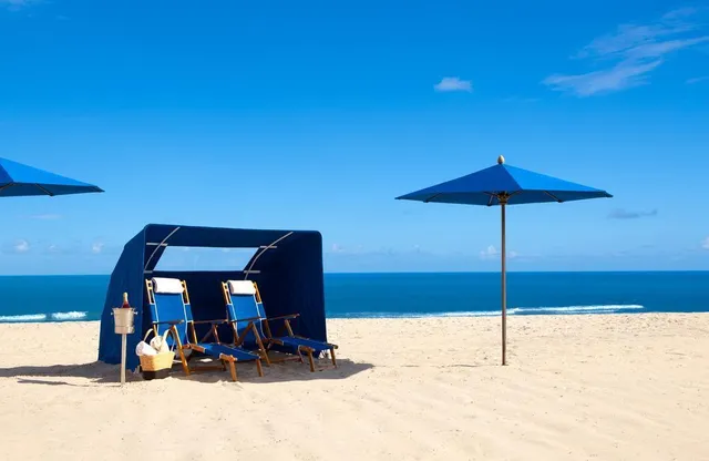 a couple of palm trees sitting in a yard