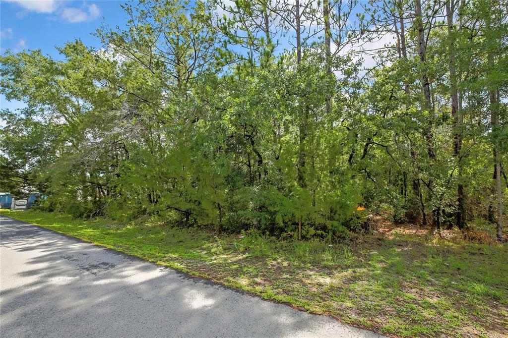 0 English Sparrow Road Weeki Wachee, FL 34614 - Photo 3 of 13 Gallery Image 3