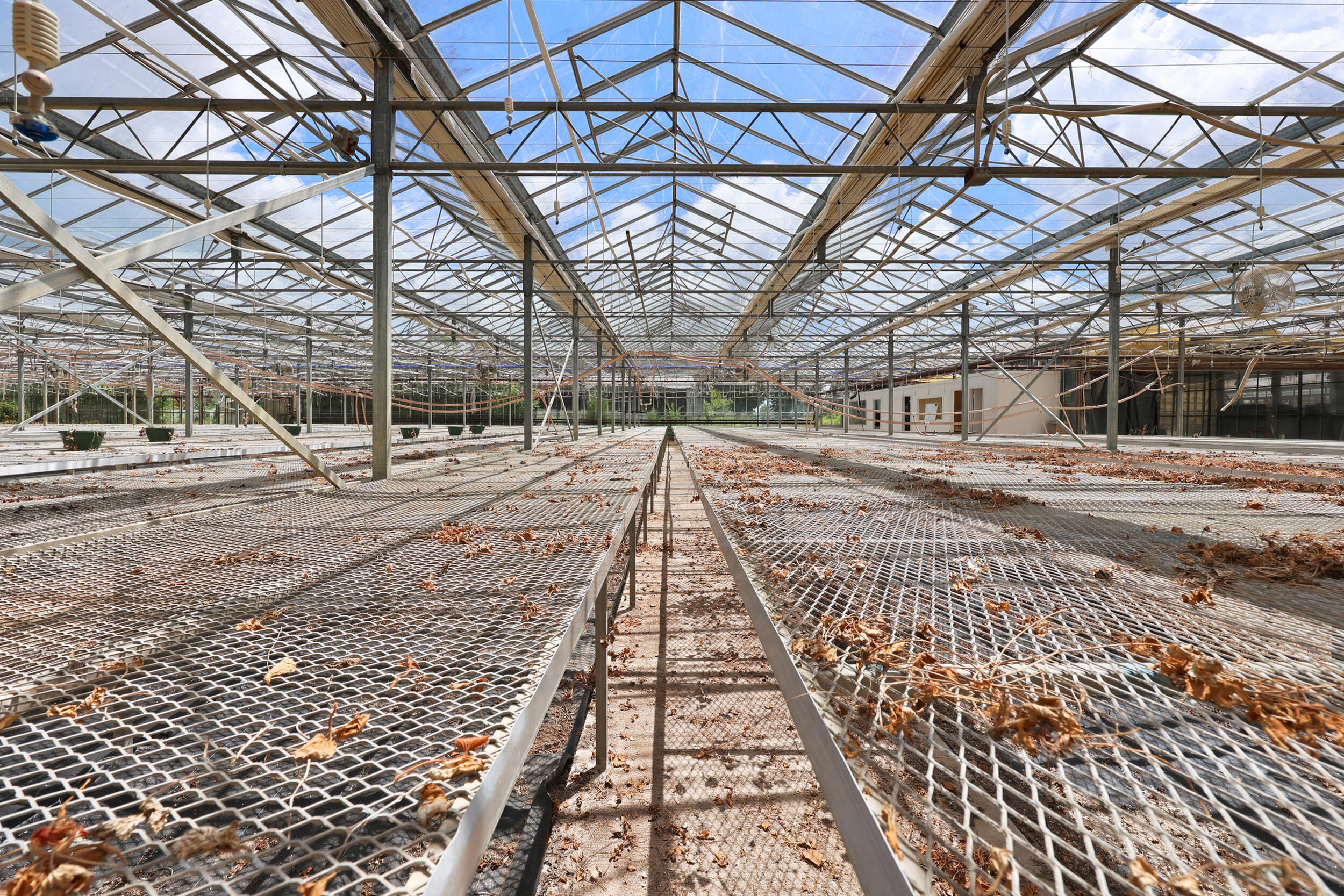 1895 Clintonville Road Paris, KY 40361 - Photo 32 of 88 45_pend1386