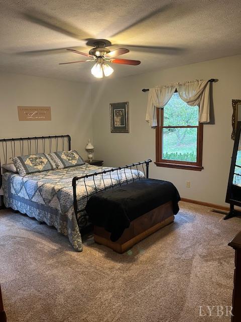 621 Cedar Gate Road Monroe, VA 24574 - Photo 9 of 53 Gallery Image 9