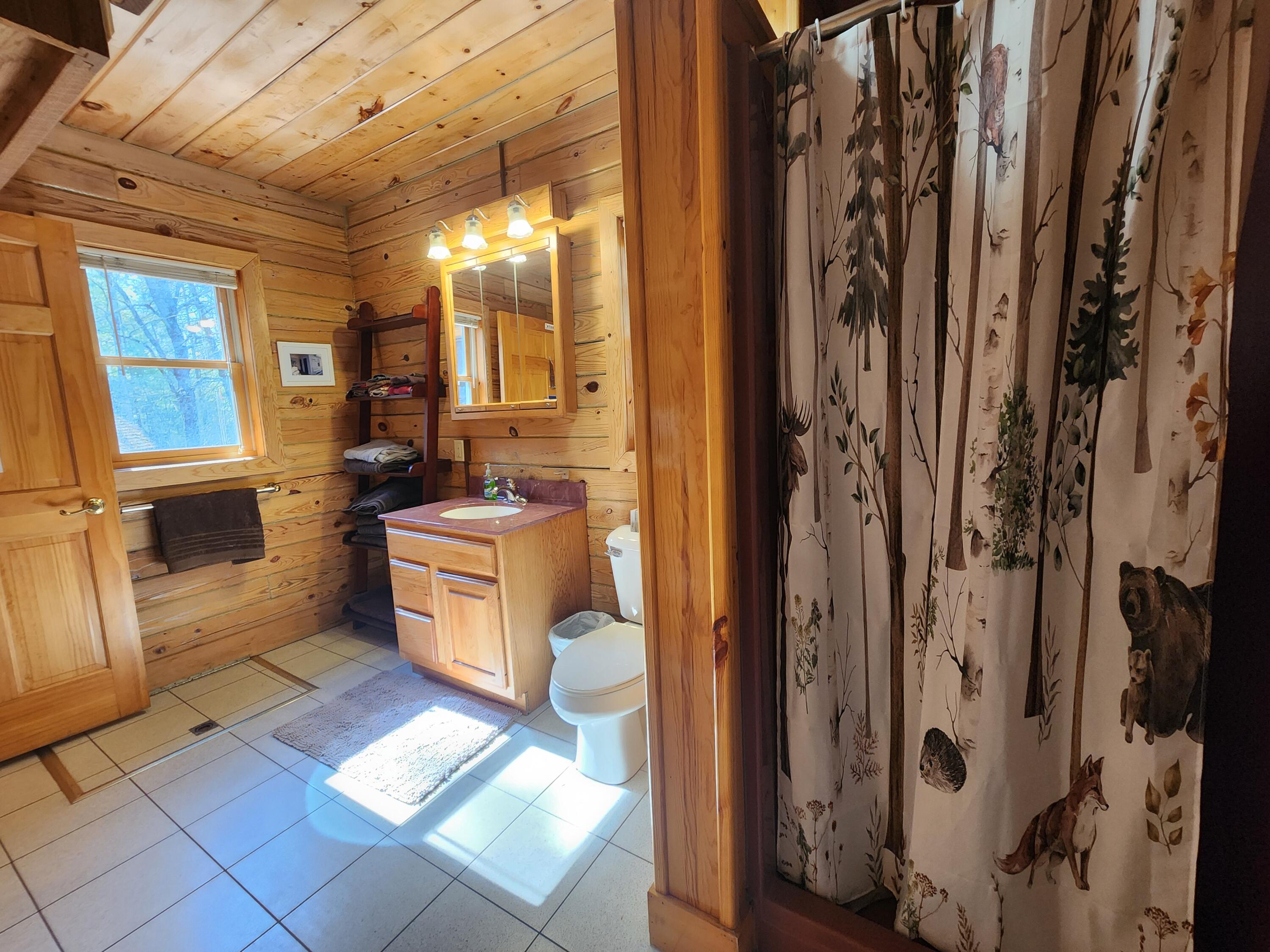 3434 North Ausable Road Mio, MI 48647 - Photo 19 of 87 Gallery Image 19