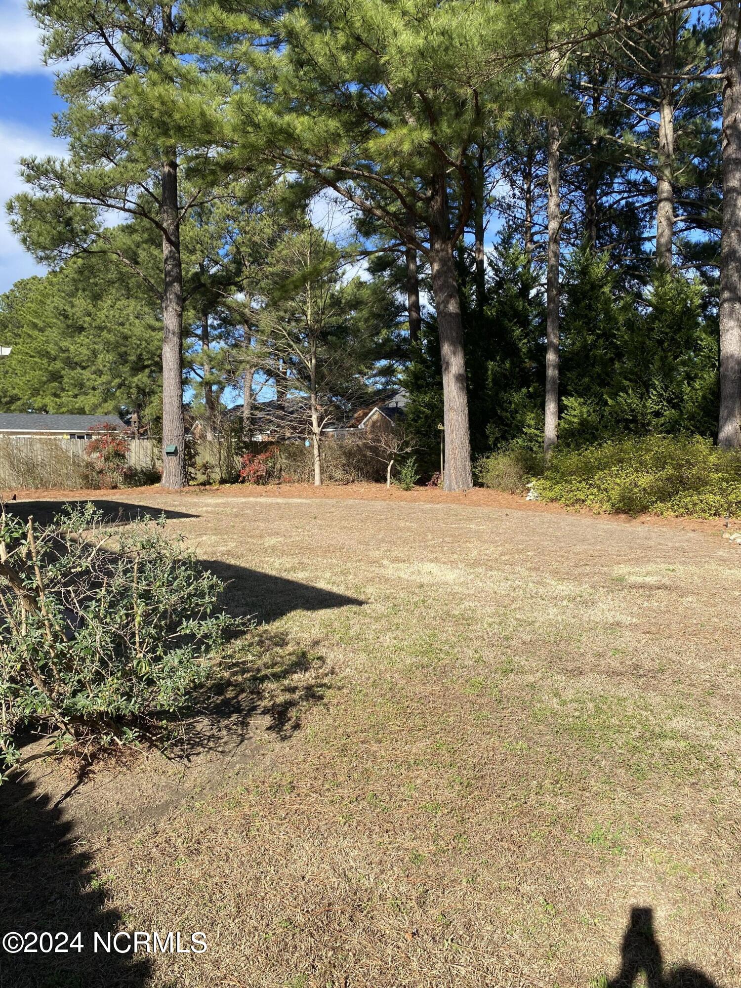 2906 Ridge Road Northwest Wilson, NC 27896 - Photo 36 of 40 Backyard