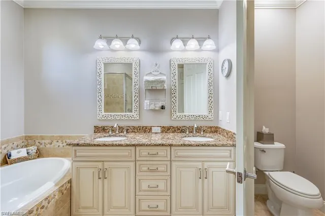 a bathroom with a sink vanity toilet and a mirror