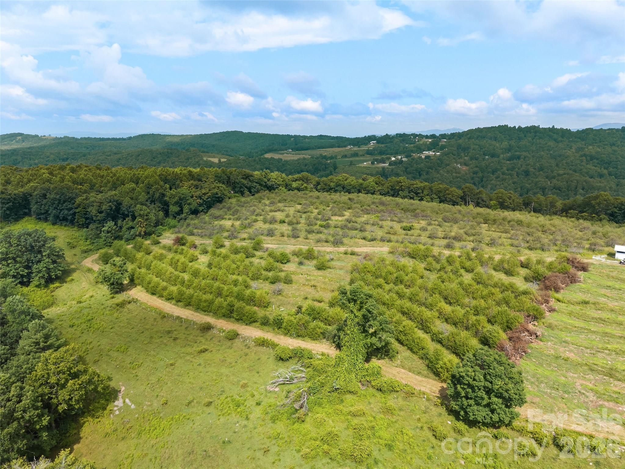 0 Summer Road, Unit 5 Hendersonville, NC 28792 - Photo 5 of 20