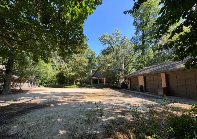 a view of a forest with trees in the background