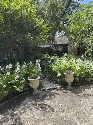a view of outdoor space with deck and tree