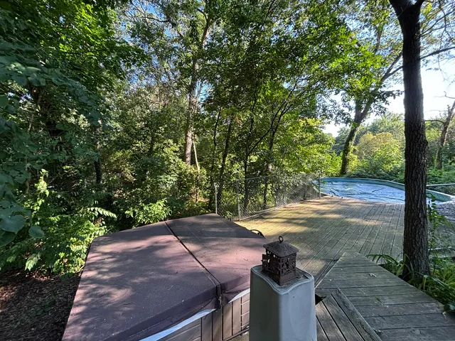 a view of a backyard with large trees
