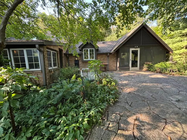a view of a yard with plants and trees