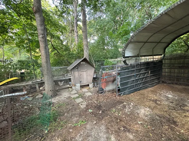 a view of a yard with large trees