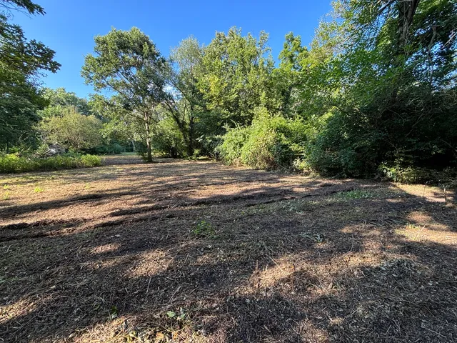 a view of a hallway with wooden floor and furniture