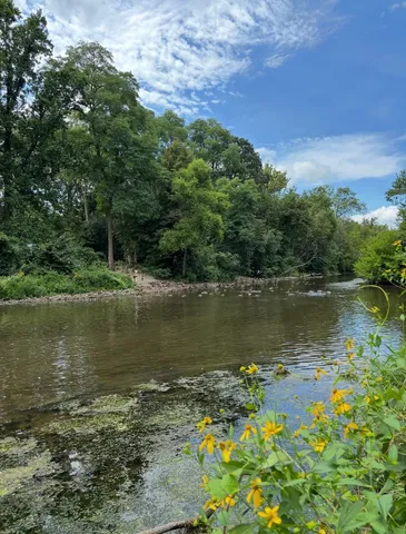 a couple of palm trees sitting in a yard