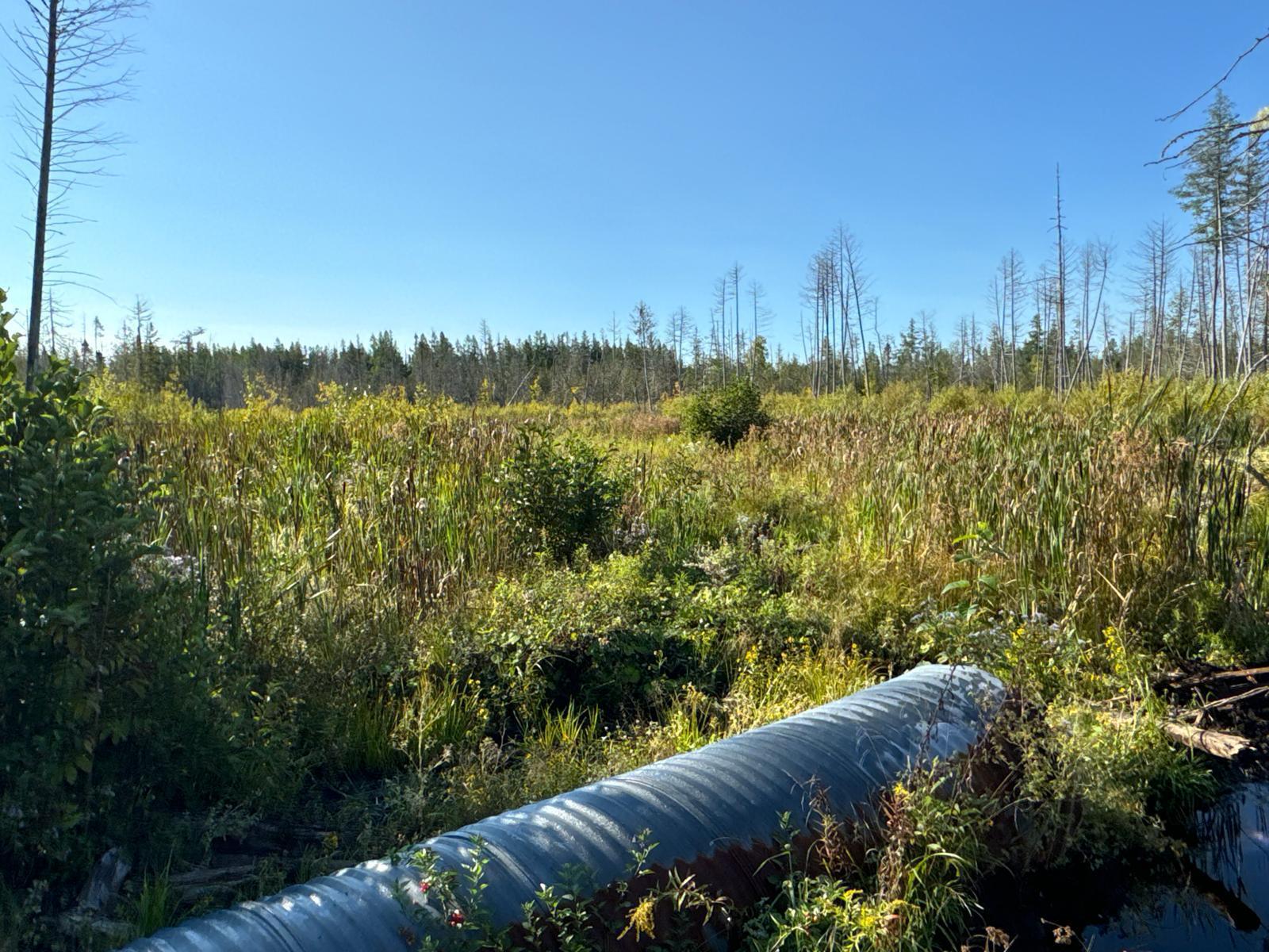 M8-l16 Grendell Road Mapleton, ME 04757 - Photo 6 of 9 Land