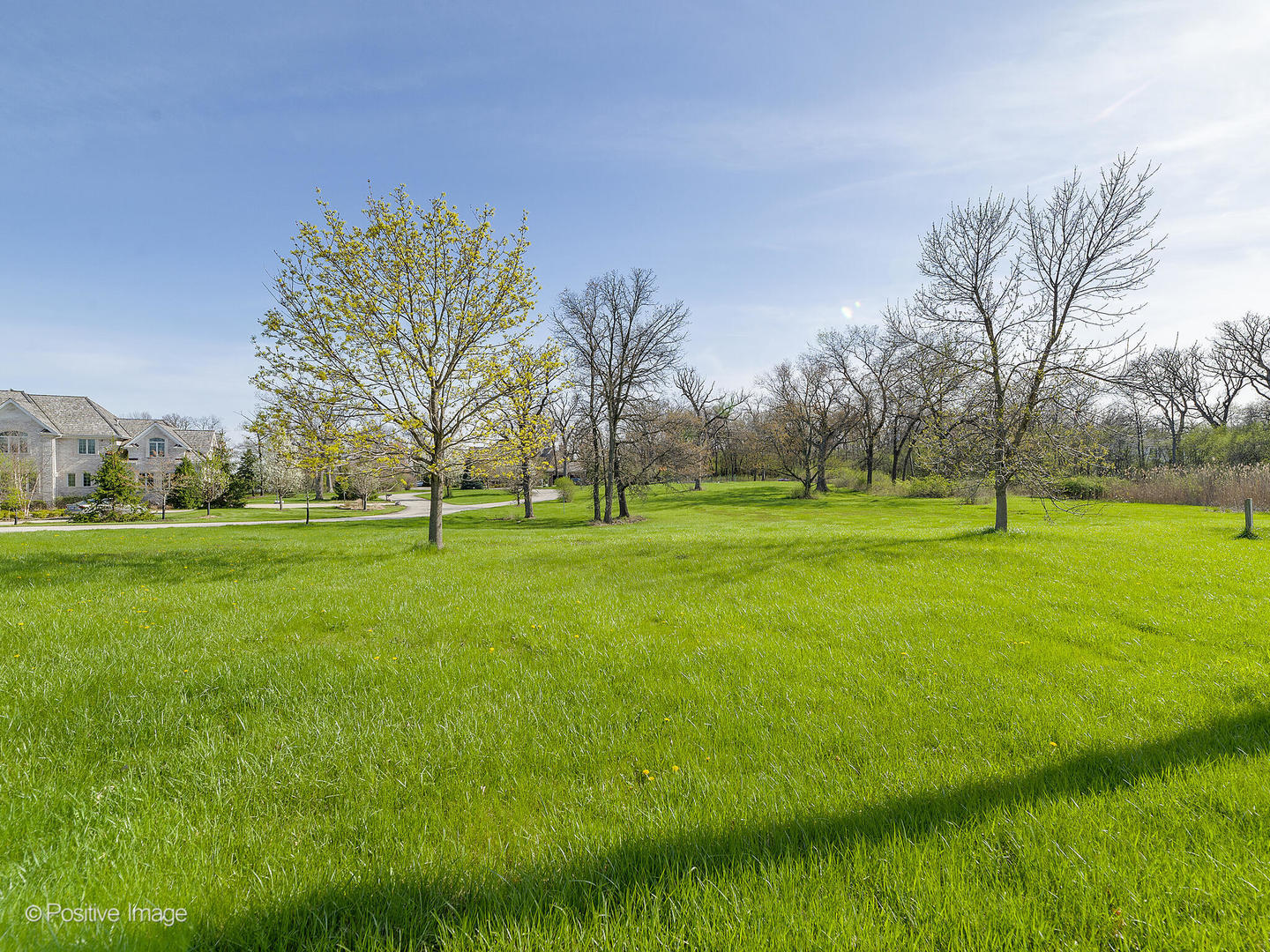 215 Oak Brook Road Oak Brook, IL 60523 - Photo 2 of 8