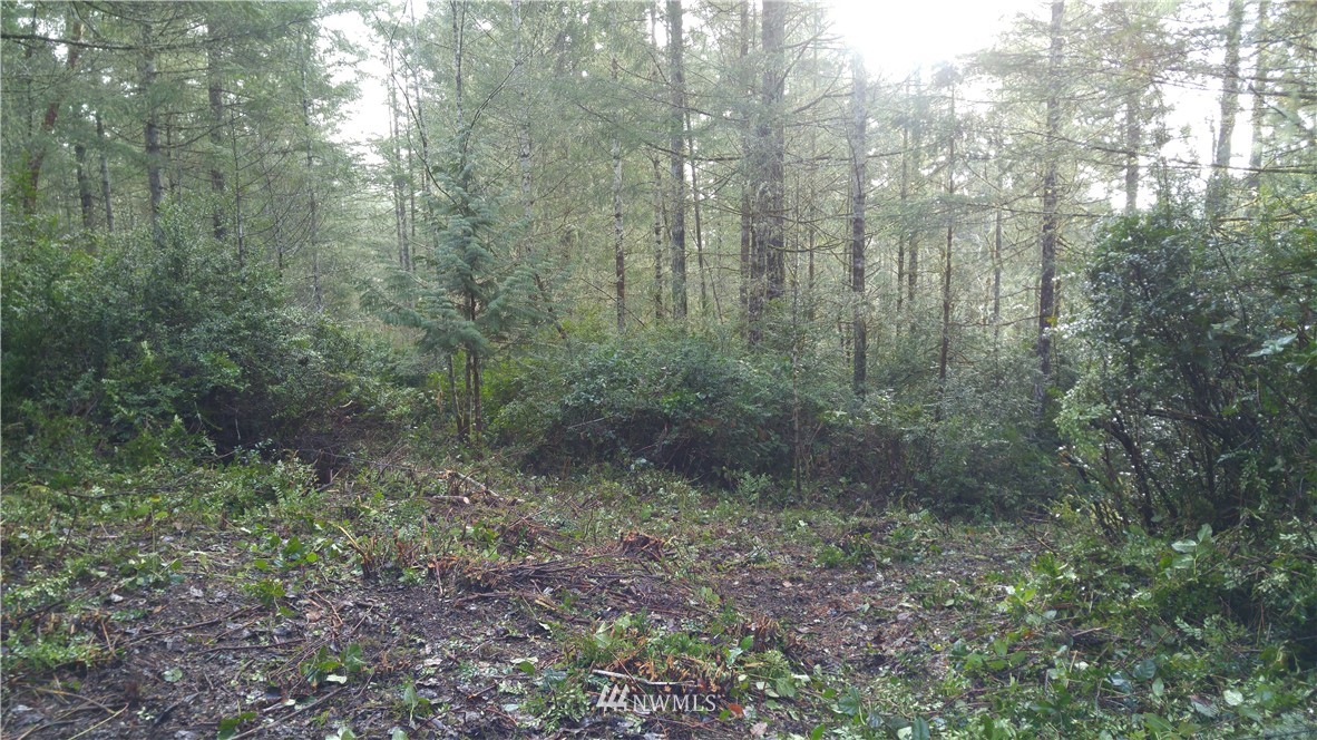 3-acres East Thomas Road Grapeview, WA 98546 - Photo 3 of 9 Gallery Image 3