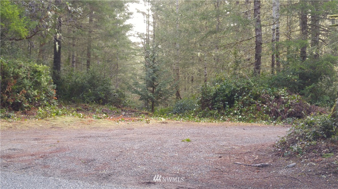 3-acres East Thomas Road Grapeview, WA 98546 - Photo 5 of 9 Gallery Image 5
