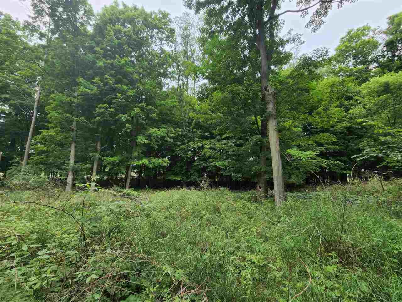 1 1 1 Mile Road White Cloud, MI 49349 - Photo 12 of 12