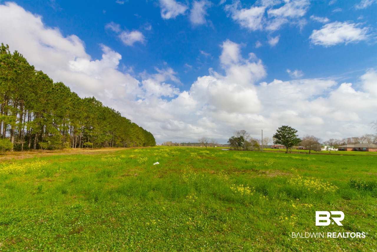 20324 Miflin Road Foley, AL 36535 - Photo 13 of 17