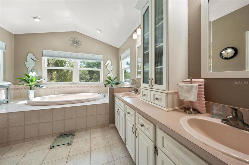 1633 Haywick Terrace Dunedin, FL 34698 - Photo 17 of 32