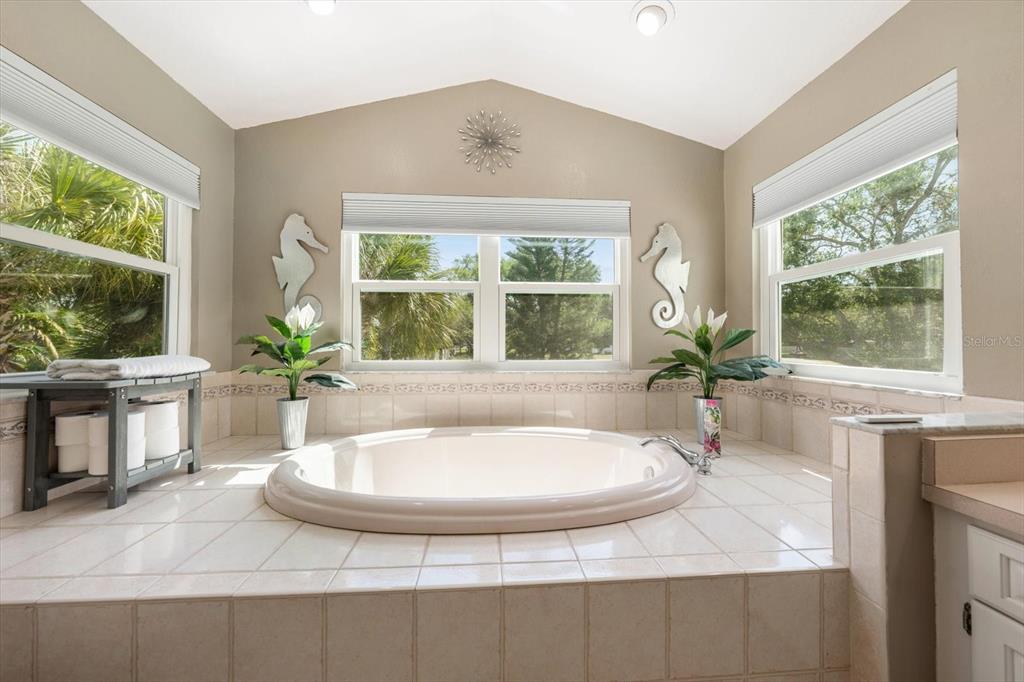 1633 Haywick Terrace Dunedin, FL 34698 - Photo 18 of 32